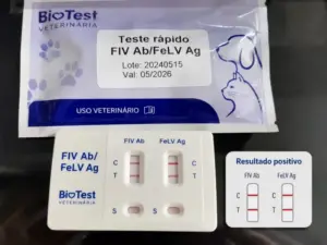 Realização de testes rápidos