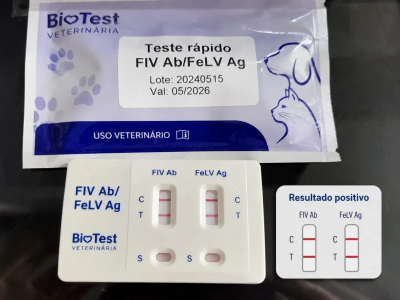Realização de testes rápidos